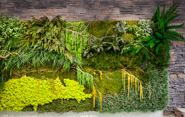 jardines verticales con plantas preservadas