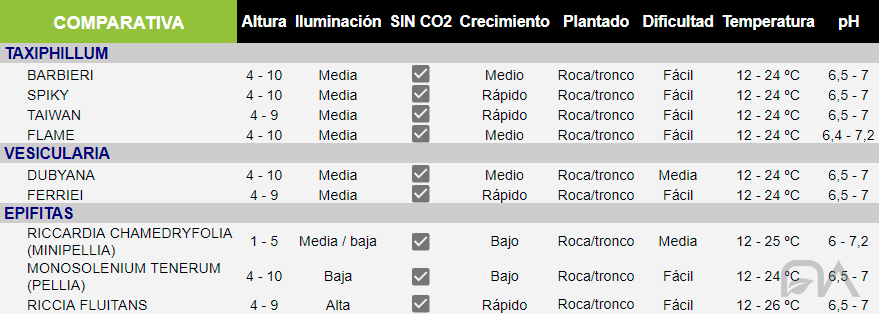 [Imagen: ficha-comparativa-musgos-1.png]