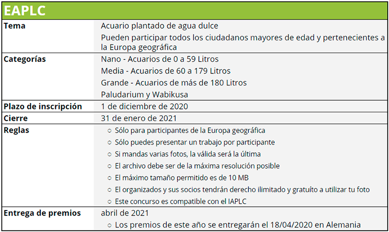 Concursos de acuarios. Concurso Europeo de Aquascaping EAPLC (Alemania). Guía rápida.