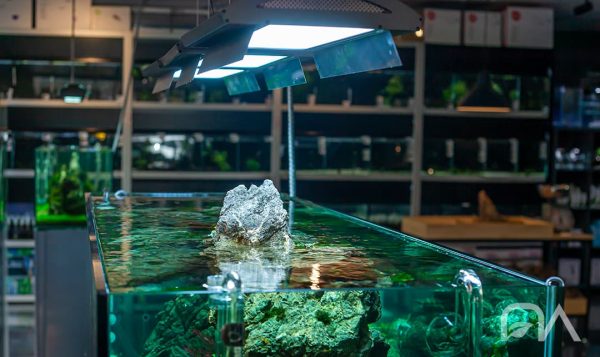 Iluminación del acuario plantado: Pantallas ADA iluminando un acuario de la NAscapers Gallery