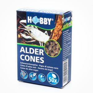 HOBBY ALDER CONES 50X