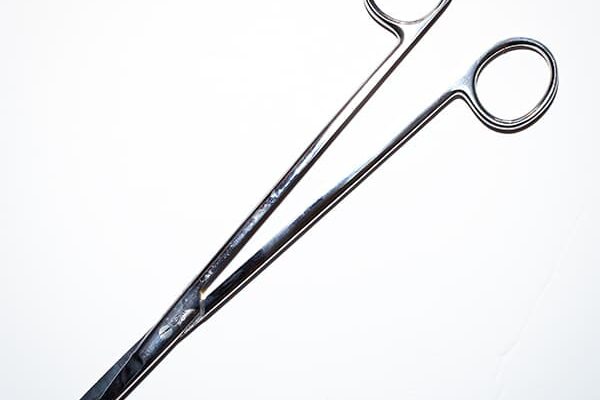 TIJERAS RECTAS BORNEO 21 CM