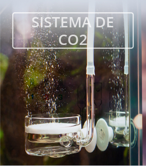 SISTEMA DE CO2 - ADA | NAscapers
