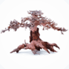 Bonsai Aquascaping S copa central