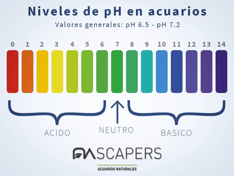 Niveles de pH recomendados para la Hygrophila pinnatifida. La puedes comprar online en NASCAPERS.ES