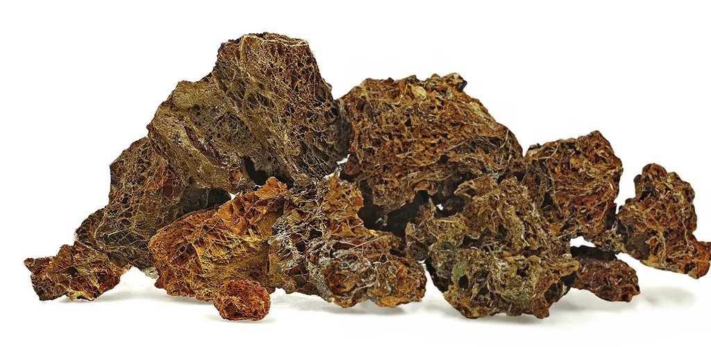 roca acuarios ocre stone leaf de venta en nascapers al mejor precio