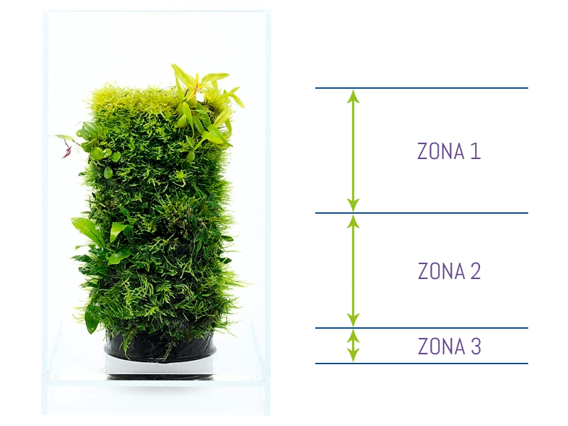 DOOA TERRA BASE, detalle de las zonas para poner las plantas según sus diferentes requerimientos hídricos