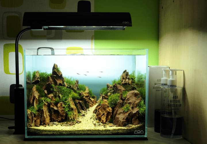 ADA CUBE GARDEN MINI M, acuario de cristal óptico que puedes comprar en NASCAPERS.