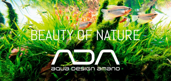 ada aqua design amano, todos los productos con grandes ofertas en nascapers