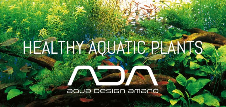 Los mejores abonos, fertilizantes y acondicionadores del mercado son los de ADA AQUA DESIGN AMANO