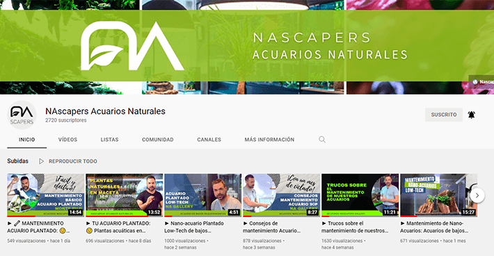 Canal de YouTube nascapers acuarios naturales, tu tienda online al mejor precio