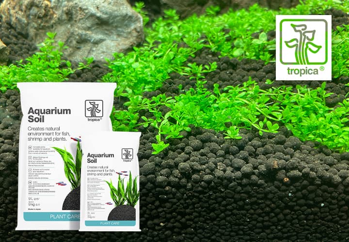 Sustratos nutritivos TROPICA para acuarios plantados de venta y en oferta en tu tienda de aquascaping online NASCAPERS.