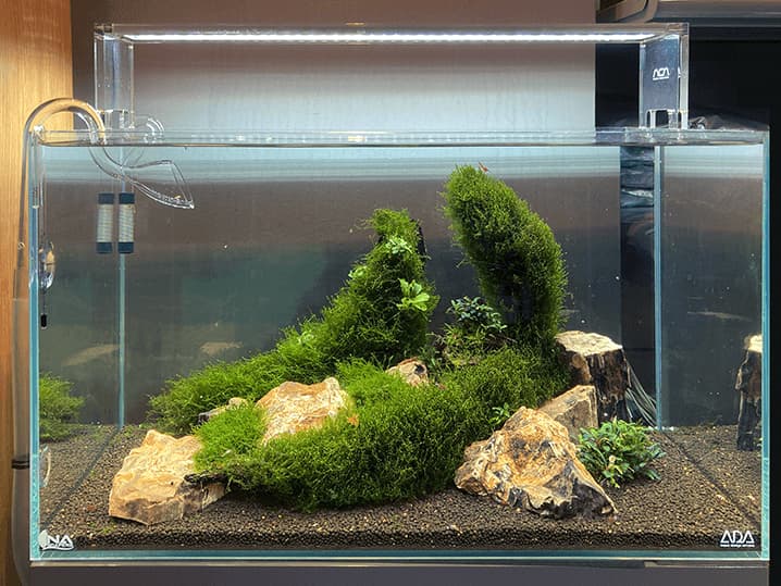 Hardscape LOW-TECH en un acuario de 60x30x36 de la marca ADA.