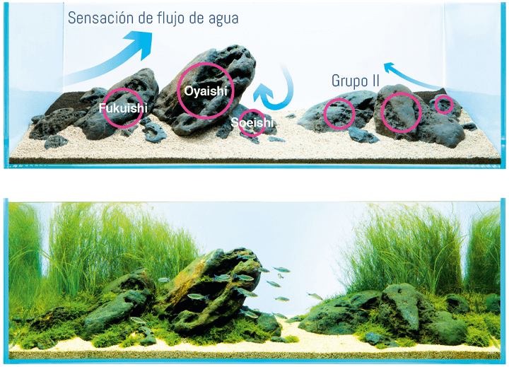 Esquema de una composición de un acuario tipo Iwuagumi. Características y consejos acuario iwagumi.