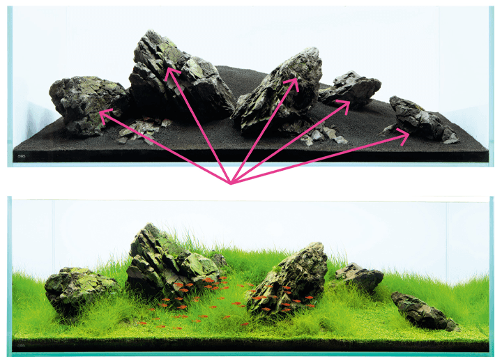 Iwuagumi con las rocas dispuestas en forma radial.