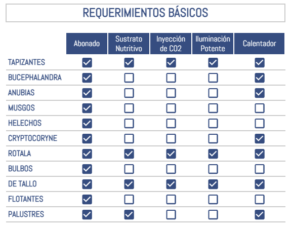 Requerimientos básicos que necesita tu acuario en función del tipo de planta