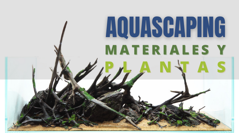 AQUASCAPING: precio, materiales y plantas en función del tamaño y los requerimientos del tanque