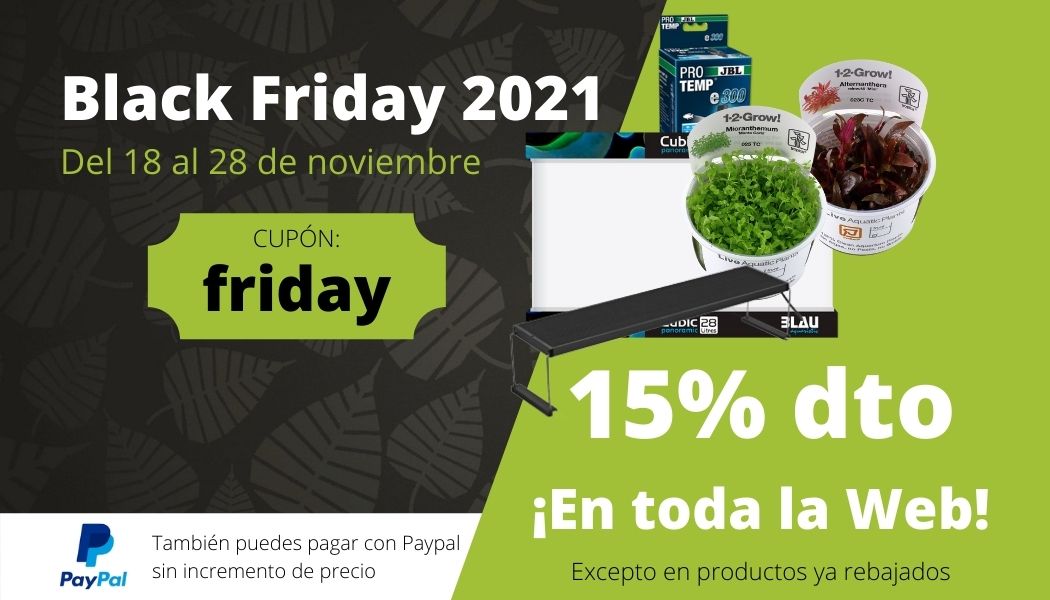 BLACK FRIDAY NASCAPERS 2021