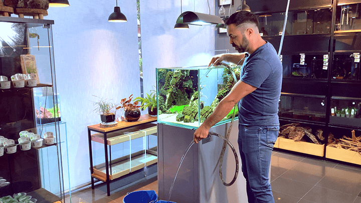 En nascapers cambiamos el agua del acuario de la forma tradicional mediante una manguera y succionando a morro.