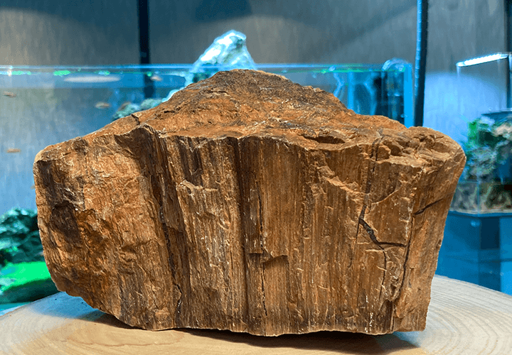 Roca madera petrificada para acuarios naturales