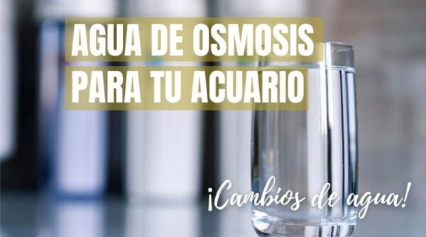 Agua de osmosis para tu acuario plantado