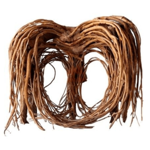 BONSAI AQUASCAPINT talla S modelo HEART ideal para acuarios y decoraciÃ³n de peceras.