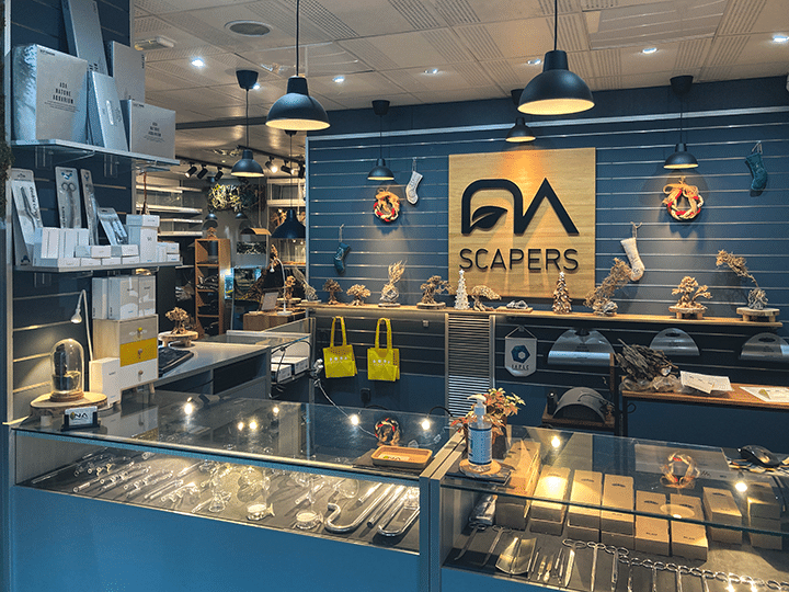 Tienda de acuarios en valencia nascapers.es