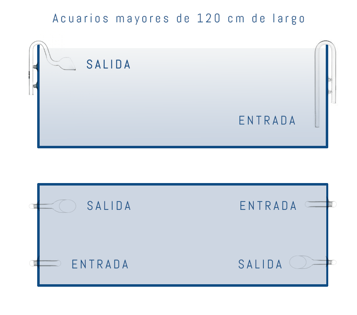 como colocar la entrada y salida del filtro en el acuario de más de 120 cm de largo