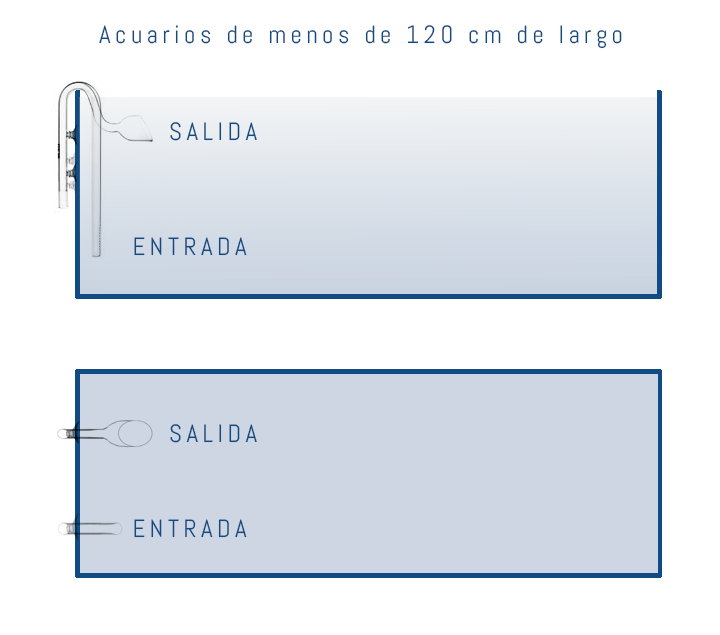 como colocar la entrada y salida del filtro en el acuario de menos de 120 cm de largo