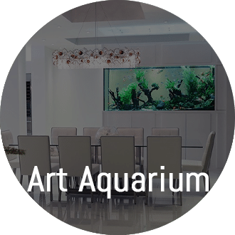 Art Aquarium nascapers