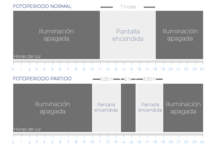 fotoperiodo partido, técnica avanzada de aquascaping para erradicar la proliferación de algas