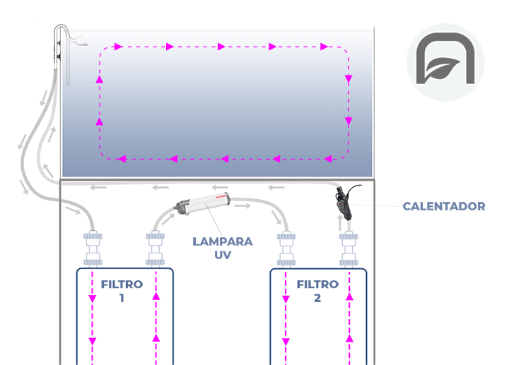 Cómo colocar 2 filtros en un acuario plantado. Sistema de 2 filtros en serie para un acuario de más de 90 cm.