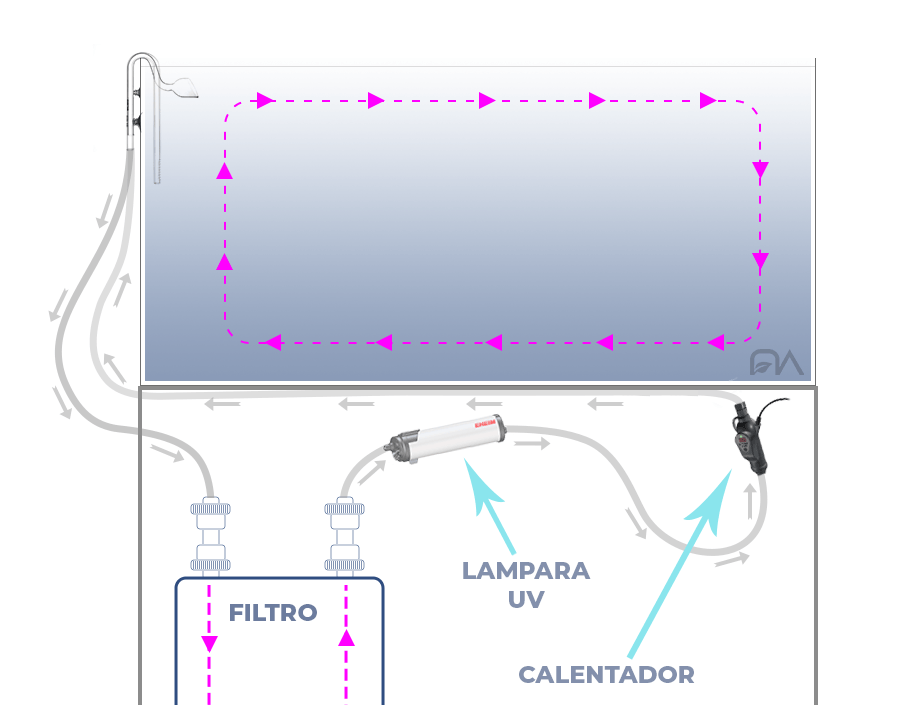 sistema de filtración para un acuario plantado