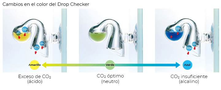 Drop Checker para medir la concentración de co2 del agua de tu acuario.