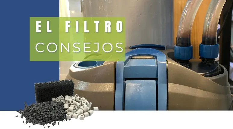 El filtro: 10 consejos imprescindibles para su mantenimiento