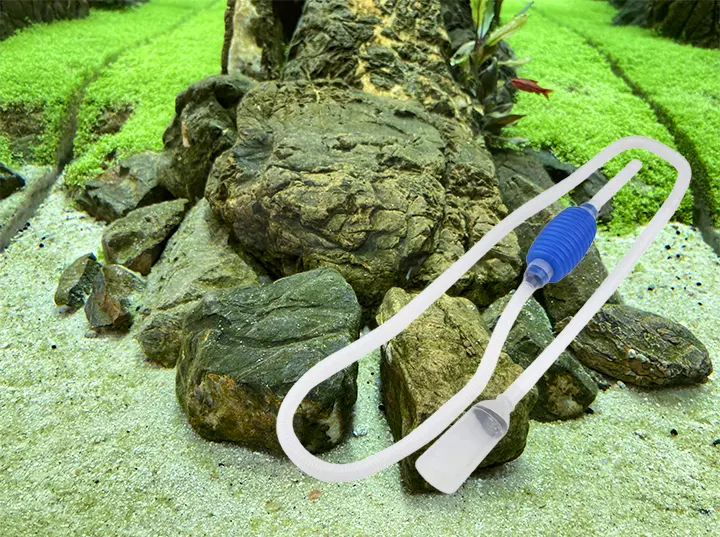5 sistemas antialgas baratos para tu acuario. Aspirar la superficie de la arena con una manguera