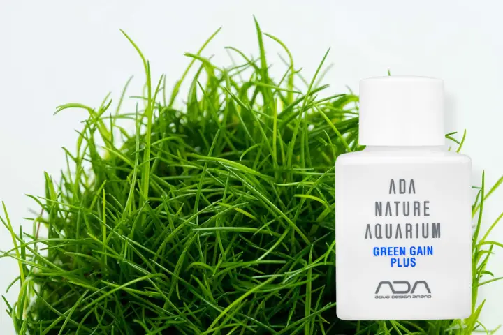 ADA Green gain plus para evitar las hojas marrones en eleocharis y helechos.