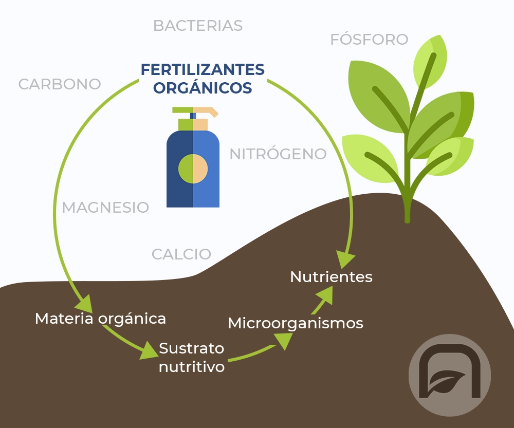 Infografía fertilizantes líquidos para el acuario plantado