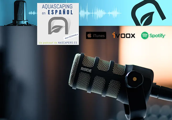 Podcast de acuariofilia y aquascaping en español (castellano). Balance del podcast en 2022.