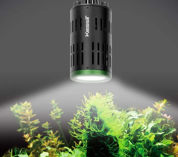 Foco Kessil para iluminar tu acuario plantado