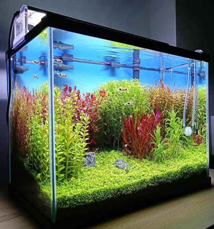 Pantalla chihiros para la iluminación de un acuario plantado con LED tipo WRGB