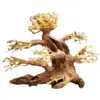 Bonsai Aquascaping S