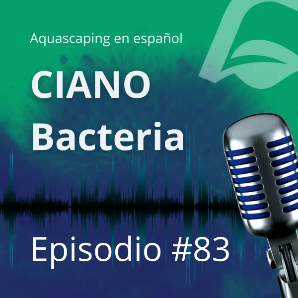 Eliminar la cianobacteria del acuario plantado