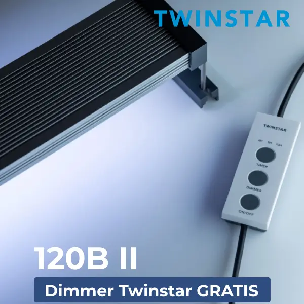 TWINSTAR Light 120BII
