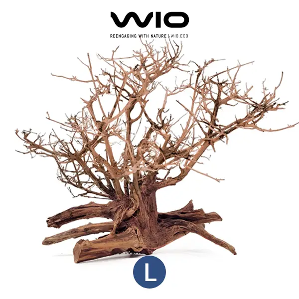 WIO Arboretum Arbustus L