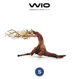 WIO Arboretum Bonsai S