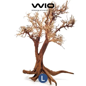 WIO Arboretum Tree L