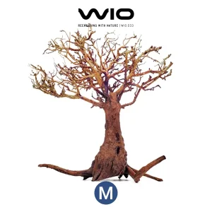 WIO Arboretum Tree M