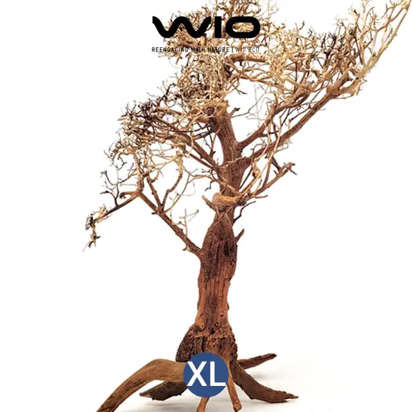 WIO Arboretum Tree XL