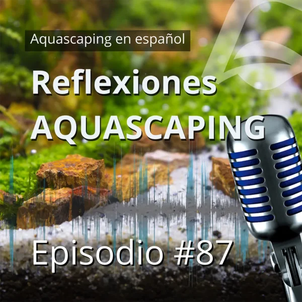 Episodio 86 aquascaping en español - Reflexiones sobre acuariofilia y aquascaping.